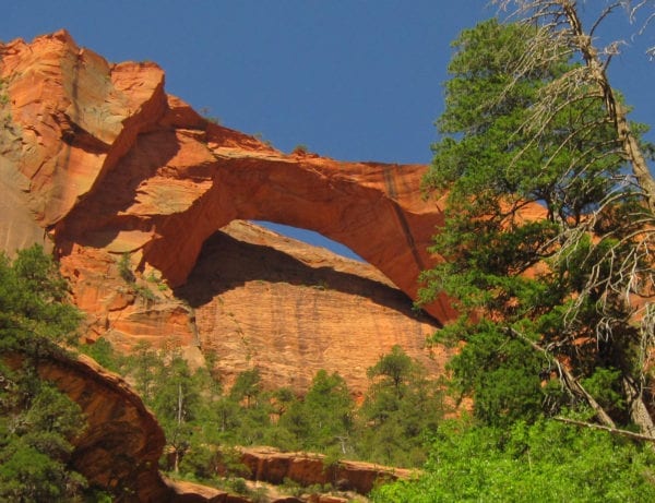 Zion National Park - Kolob Arch